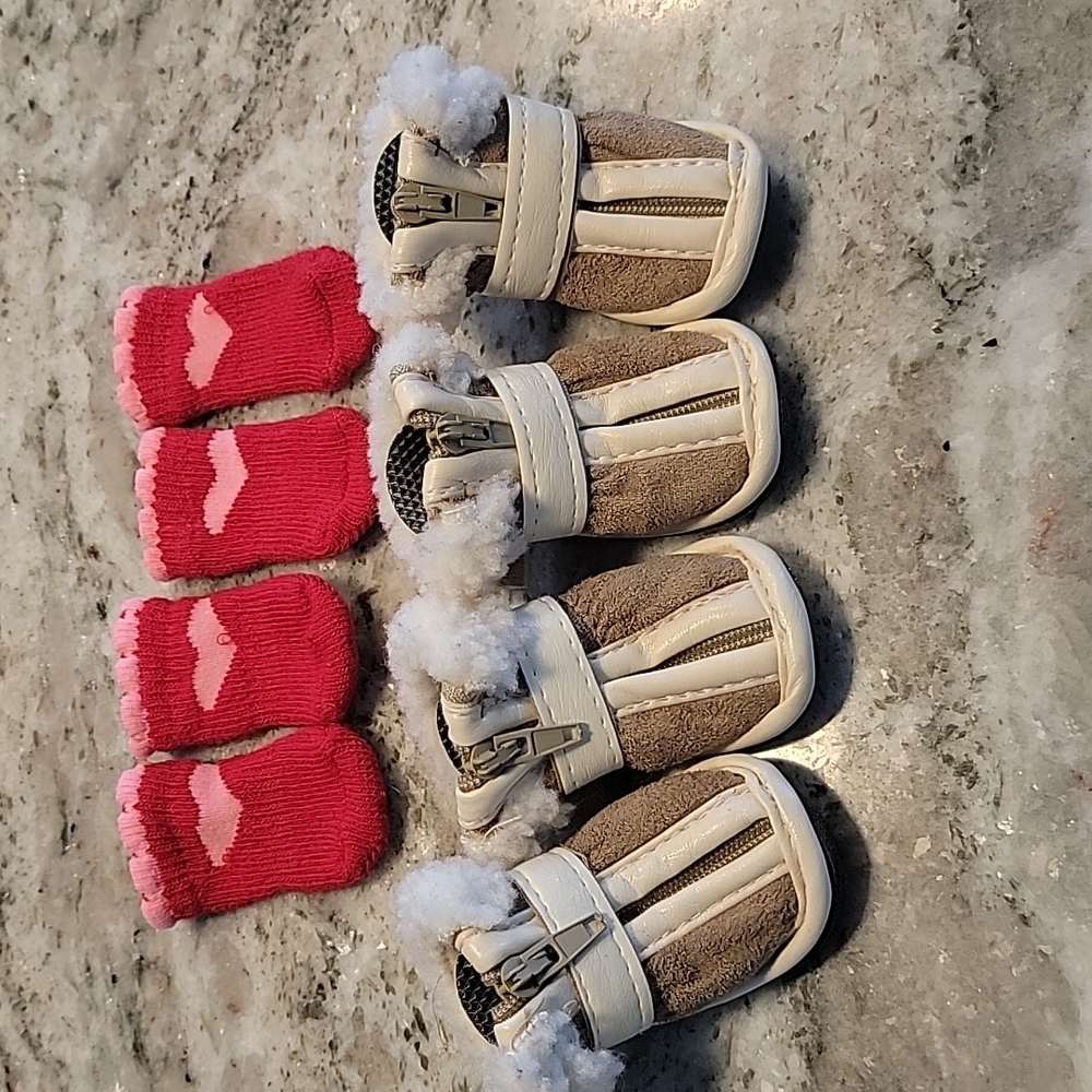 Dog shoes and socks XS
